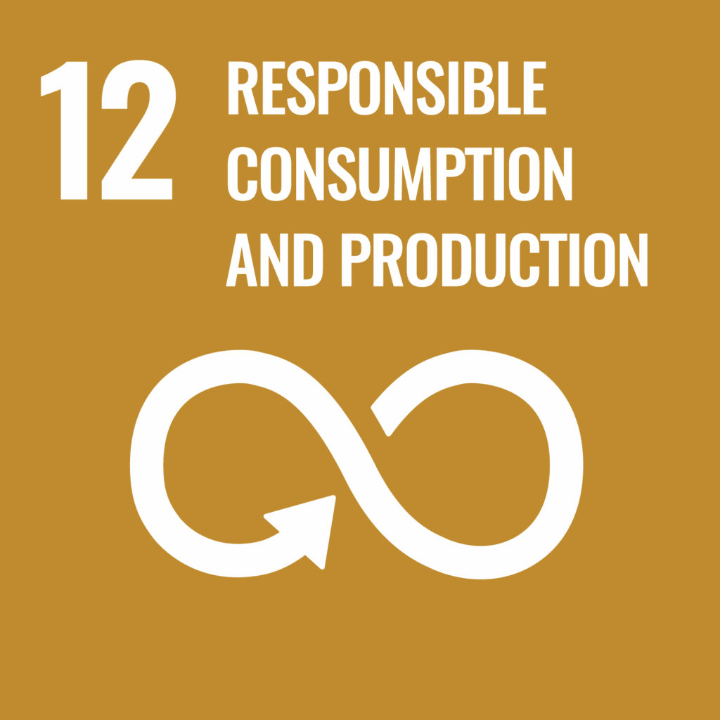 UN SDG 12 logo