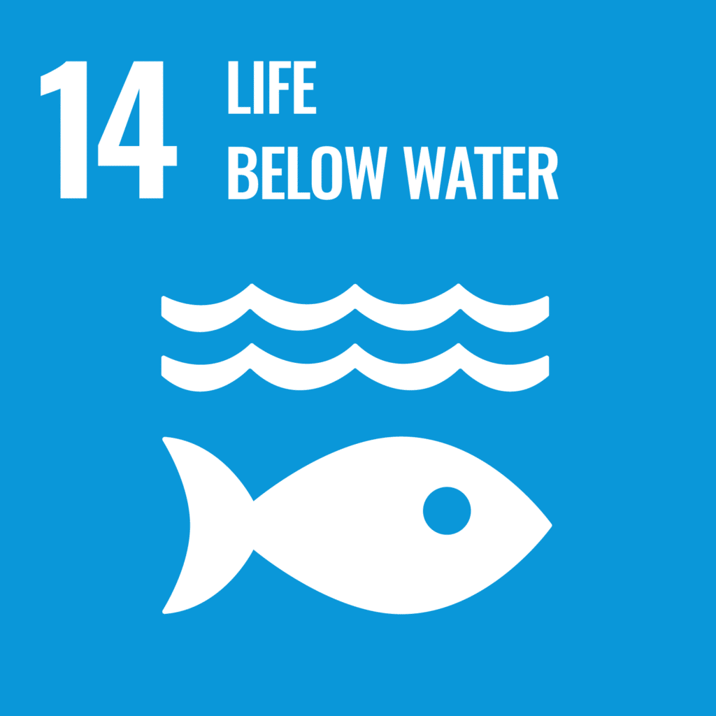 UN SDG 14 logo