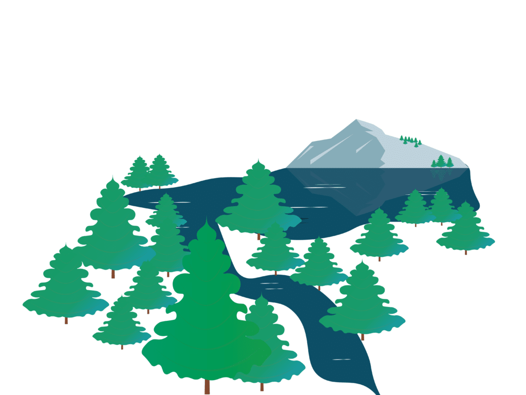 Illustration of a sustainable forest